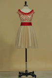 A Line Hoco Dresses Scoop Tulle With Beads And Bow Knot Rjerdress