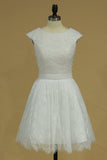 A Line Lace Bateau Hoco Dresses Short/Mini Rjerdress