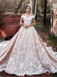 A-Line Off the Shoulder Ball Gown Court Train Tulle Appliques Wedding Dresses Rjerdress