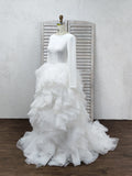 A-Line/Princess Tulle Ruffles Scoop Long Sleeves Sweep/Brush Train Wedding Dresses Rjerdress