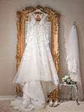 A Line See Through Long Sleeve Lace Appliqued Beach Wedding Dresses