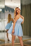A-Line Spaghetti Straps Short Lace-up Tulle Homecoming Dress with Appliques RJS297 Rjerdress