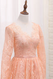 A Line V Neck Long Sleeves Lace Hoco Dresses With Sash Rjerdress