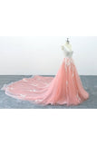 A-Line V Neck Tulle Lace Appliques Cathedral Train Formal Prom Dress Rjerdress