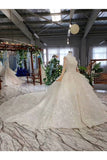 Ball Gown Bridal Dresses Scoop Long Sleeves Top Quality Appliques Tulle Beading Rjerdress