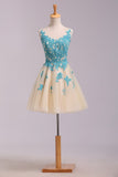 Bateau A Line Hoco Dress Short/Mini Embellished With Applique Tulle Rjerdress