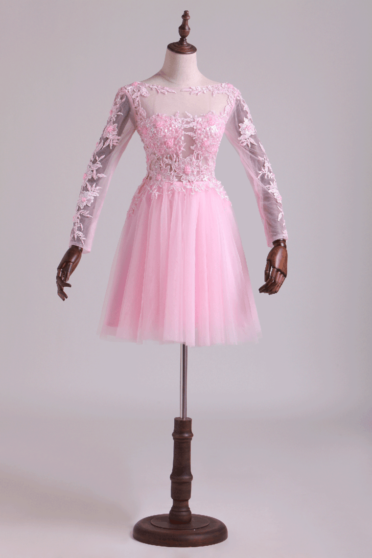 Bateau Hoco Dresses A Line With Embroidery & Beads Tulle Mini Rjerdress