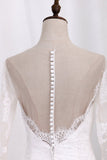 Bridal Dresses Long Sleeves Scoop Mermaid Tulle With Applique Rjerdress