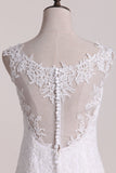 Bridal Dresses Scoop A Line Tulle With Applique Rjerdress