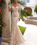 Charming Mermaid Vneck Long Sleeves Ivory Lace Long Wedding Dresses