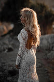 Chic Lace V Neck Long Sleeve Mermaid Rustic Backless Wedding Dresses Rjerdress