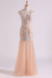 Classic Party Dresses V Neck Mermaid/Trumpet Floor Length Tulle Champagne With Applique & Beads Rjerdress