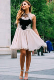 Cute Tulle Lace Short Cocktail Dresses Halter Pink and Black Homecoming Dresses H1175