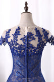 Dark Royal Blue Evening Dress Scoop Cap Sleeves See-Through Lace With Applique A Line Rjerdress
