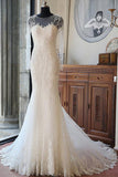 Elegant Mermaid Scoop Neck Tulle Beads Lace Appliques Chapel Train Long Sleeve Wedding Dress RrRRRJS739 Rjerdress