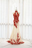 Fashion Champagne Prom Dress Tulle Formal Gown Red Prom Dresses Lace Evening Gowns RJS850