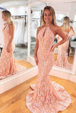 Gorgeous Lace High Neck Prom Dresses Mermaid Zipper Up