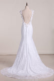 Graceful Lace Bridal Dress V Neck Backless A Line With Beads Rjerdress