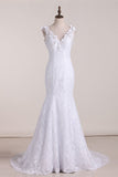 Graceful Lace Bridal Dress V Neck Backless A Line With Beads Rjerdress
