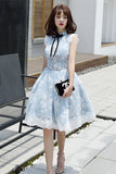 Halter Light Sky Blue Lace Appliques Homecoming Dresses with Lace up Cocktail Dresses H1125 Rjerdress