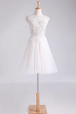 Hoco Dresses Scoop Short/Mini A Line Tulle With Applique And Beading