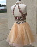 Homecoming Dresses A-Line Halter Tulle Two Pieces Rjerdress