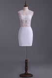 Hot Selling Column Hoco Dresses Short/Mini With Applique Rjerdress