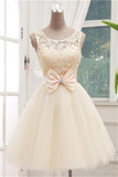 Lace Short Champagne Ball Gown Sleeveless Bowknot Open Back Scoop Homecoming Dresses RJS878