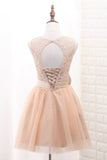 Lace Short Champagne Ball Gown Sleeveless Bowknot Open Back Scoop Homecoming Dresses RJS878 Rjerdress
