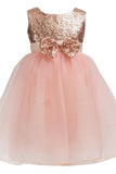 Little Girls Sequin Mesh Tulle Baby Dress Flower Girl Ball Gown Dress FG1006