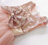 Little Girls Sequin Mesh Tulle Baby Dress Flower Girl Ball Gown Dress FG1006 Rjerdress