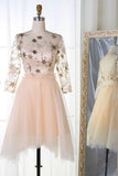 Long Sleeve Tulle Pink Homecoming Dresses with Lace V Neck Short Cocktail Dresses H1192 Rjerdress