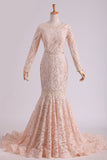 Long Sleeves Bridal Dresses Scoop Lace With Sash Sweep Train Champagne