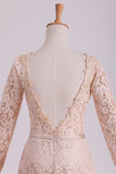 Long Sleeves Bridal Dresses Scoop Lace With Sash Sweep Train Champagne Rjerdress