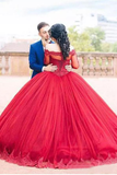 Long Sleeves Quinceanera Dresses Ball Gown Boat Neck With Applique Tulle