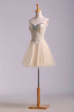 Lovely Hoco Dresses A Line Sweetheart Short Mini Color Champagne Rjerdress