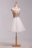 Lovely Hoco Dresses A Line White Scoop Short/Mini Tulle Rjerdress