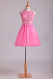 Lovely Hoco Dresses Scoop A Line Short Tulle With Applique
