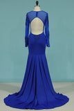 Mermaid Blue Party Dress Long Sleeves Rjerdress