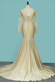 Mermaid Bridal Dresses Scoop Long Sleeves Spandex With Applique Rjerdress