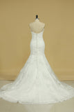 Mermaid Bridal Dresses Sweetheart With Applique Tulle Court Train Rjerdress