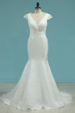 Mermaid Bridal Dresses V-Neck Organza With Lace Rjerdress