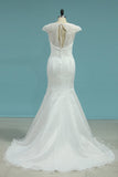 Mermaid Bridal Dresses V-Neck Organza With Lace Rjerdress