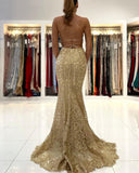 Mermaid Spaghetti Straps Lace Appliques Prom Dresses Long Formal Dress RJS455 Rjerdress