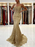 Mermaid Spaghetti Straps Lace Appliques Prom Dresses Long Formal Dress RJS455