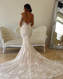 Mermaid/Trumpet Long Sleeves Court Train Tulle With Applique Wedding Dresses Rjerdress