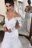 Mermaid/Trumpet V-Neck Tulle Wedding Dresses With Applique Long Sleeves Zipper Up Rjerdress