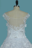 New Arrival Bridal Dresses A Line Scoop Tulle With Applique Cathedral Train Rjerdress