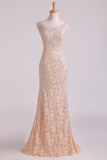 New Arrival Off The Shoulder Party Dresses Lace With Applique & Beads Rjerdress