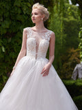 New Style A-line Scoop Neck Tulle Appliques Lace Court Train Backless Wedding Dress Rjerdress